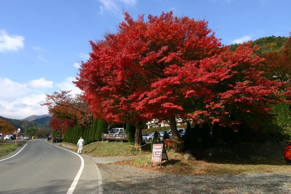 Villa May Queen Fujikawaguchiko Exterior photo